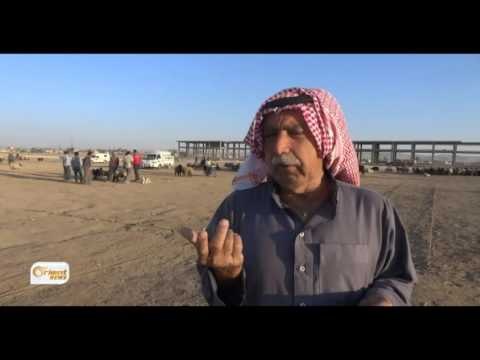 Rewşa bazara dewaran li herêma cezîrê