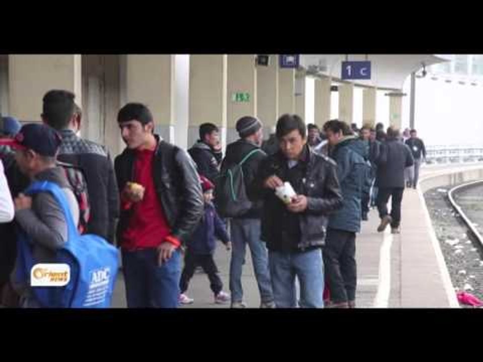 Li Nemsa Piraniya penaberan berê xwe didin Almanyayê