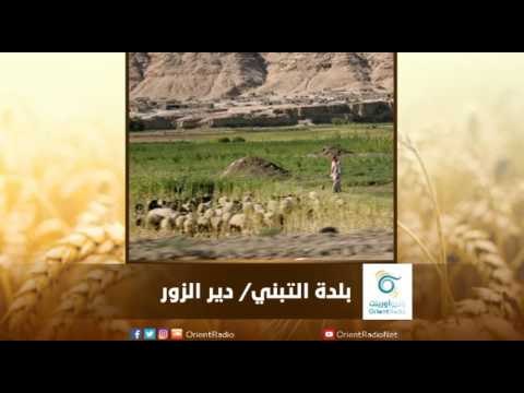 بلدة التبني/ دير الزور | رسالة المنطقة الشرقية