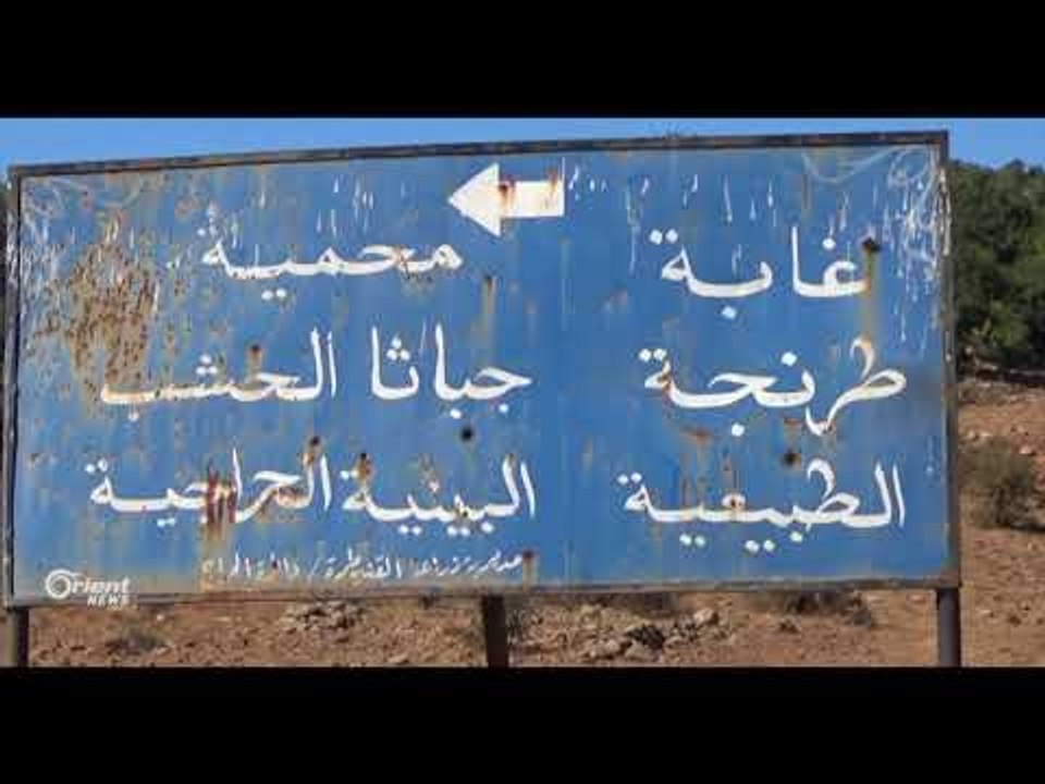 قطع الأشجار يهدد مئات الهكتارات من الغابات في القنيطرة