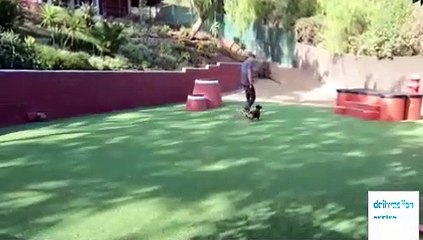 Lucky Dog - S 6 Epi 13