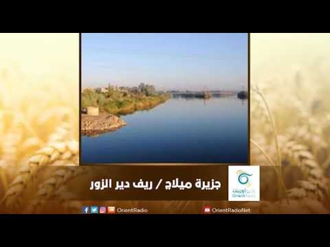 جزيرة ميلاج في دير الزور | رسالة المنطقة الشرقية