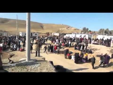 Li Herêma Cizirê Pez û ajel kêm bûnê û nerxê goşt bilind dibe