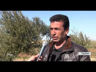 Çandiniya Cizîrê Weke her sal cotkar rastî astengiyan tên