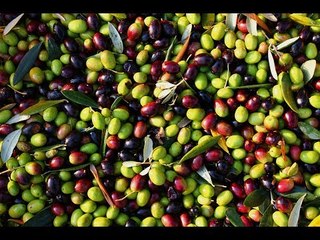 مزارعو درعا خسروا الكثير من أشجارهم لشح المياه