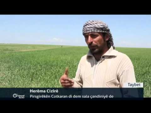 Li Rojavayê Kurdistanê Pêdeviyên jiyanê li bazaran ta 80% kêm bûne