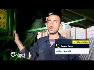 Fewaz Ceno - cotkar û xwediyê derasakê ji Amûdê