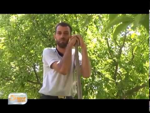 تلوث مصادر المياه وأثره على الأراضي والسكان في غوطة دمشق - تقرير