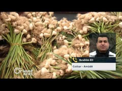 Ibrahîm Elî - Cotkar ji Amûdê