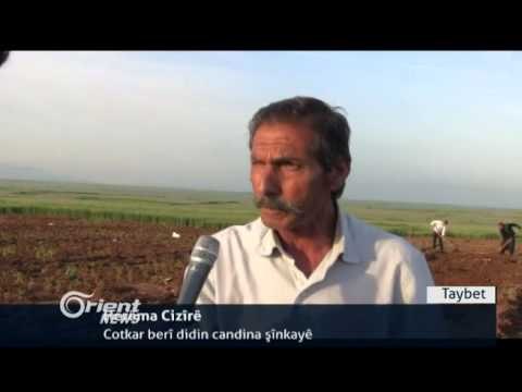 Aliyên siyasî yên Kurdistanê li ser serxwebûnê lihevkirin