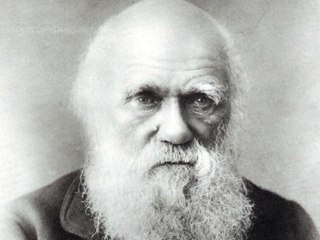 Nace Darwin