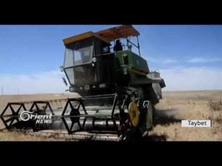 Li Dirbêsiyê despêkirina çinîna berheman çeh û genim