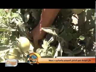 حال الزراعة في الداخل السوري وأساليب دعمها | تقرير