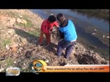 أطفال في ريف حماة يبحثون عن نبتة العرقسوس لبيعها | تقرير