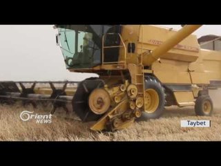 Gundewarê Hesekê demsala çinîna Ceh û Genim