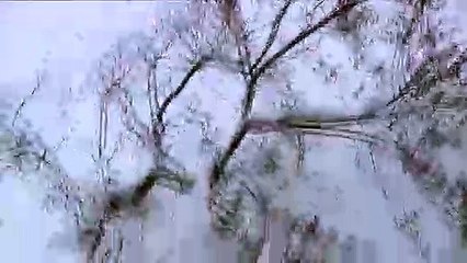 Snowboarding Off of a Roof Fail