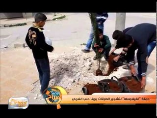 حملة "فليغرسها" لتشجير الطرقات بريف حلب الغربي | تقرير