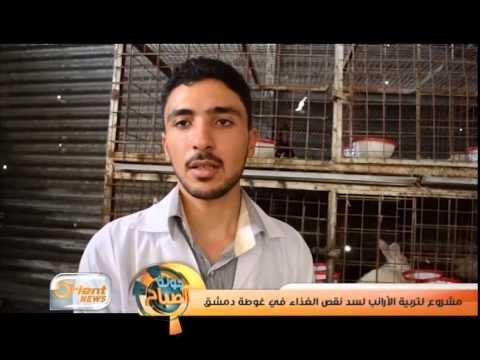 مشروع لتربية الأرانب لسد نقص الغذاء في غوطة دمشق | تقرير