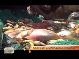 صيد السمك أحد مصادر رزق الأهالي في الغوطة الشرقية | تقرير