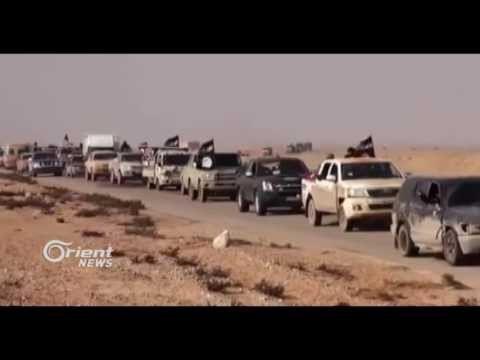 Mîrên DAIŞê ji Babê direvin û ber bi Reqayê ve diçin