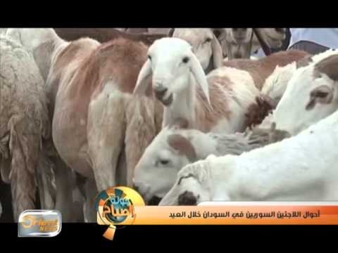 أحوال اللاجئين السوريين في السودان خلال العيد | تقرير
