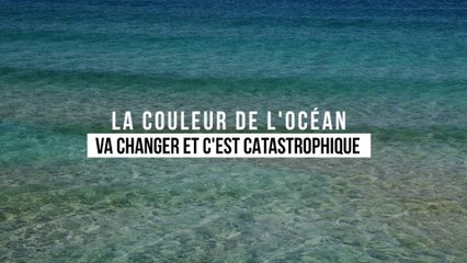 La couleur de l'océan va changer et c'est catastrophique