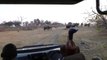 Un groupe de touristes attaqué par un éléphant au Botswana