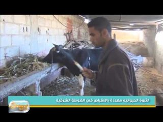 تأسيس نقابة للبيطرين الاحرار في الغوطة الشرقية