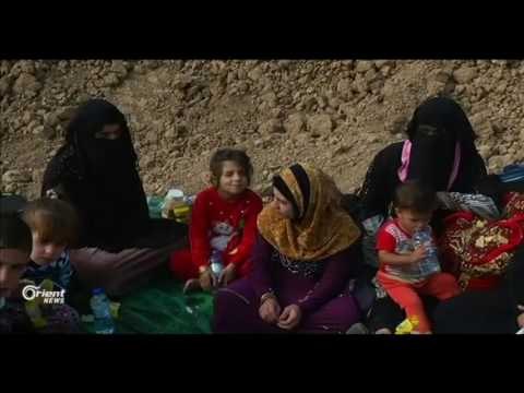 Operesyona Mûsilê Rojane bi dehan penaber koçberî Rojava û Başûr dibin
