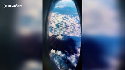 Creative man uses washing liquid bottle and phone to fake travelling on plane