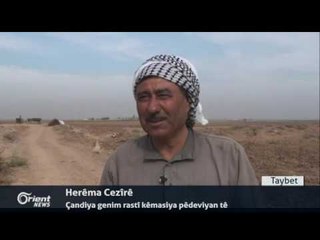 Kuştina 15 çeteyên DAIŞê dixwstin êrîşî pêşmerge bikin