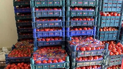 Halciler fiyat artışlarının kendilerinden kaynaklanmadığını iddia etti