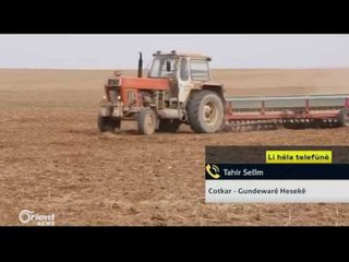 Tahir Selîm - Cotkar - Gundewarê Hesekê