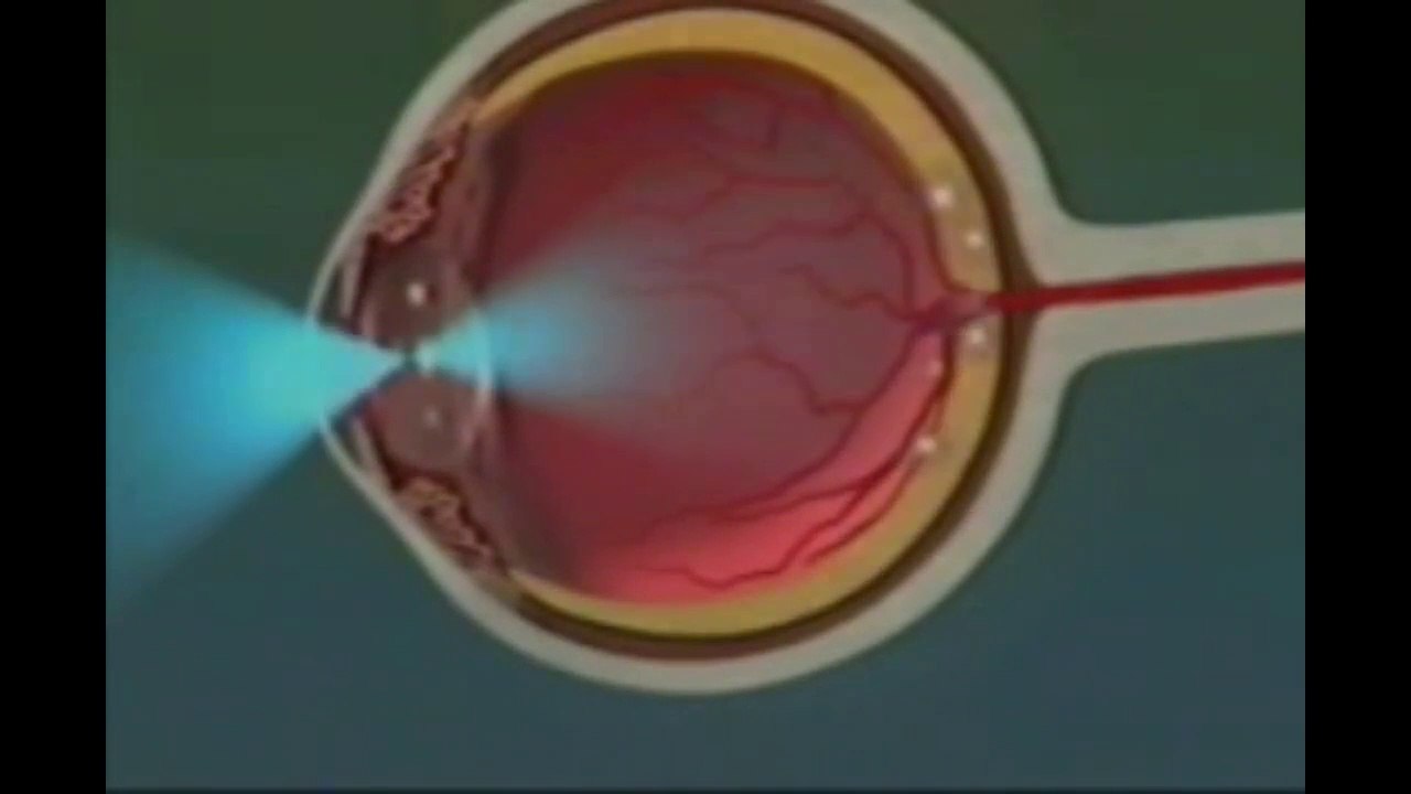 İNSAN DENEN MUHTEŞEM YARATIK