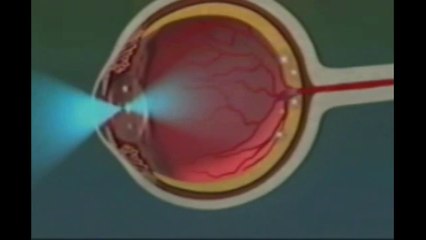 İNSAN DENEN MUHTEŞEM YARATIK