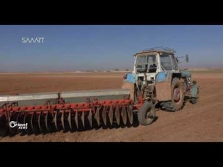 Li Sûriyê hikûmeta rêjîmê buhaya kirîna genim bilind dike