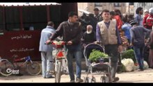 Li Efrînê jêkirina berhemên Kerezê destpê dike