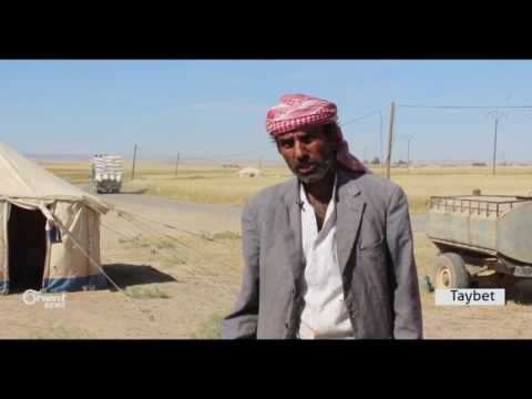 Li Herêma Cizîrê Cotkar dest bi çinîna xwe kirin