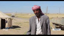 Li Herêma Cizîrê Cotkar dest bi çinîna xwe kirin