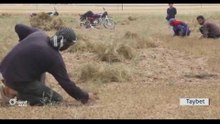 Li Herêma Cizîrê rewşa çinîna Kemûn û Nîskan