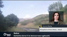 Gonol Morkş - Nûçegîhana Orient News - Amed