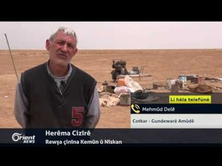 Mehmûd Delê - Cotkar - Gundewarê Amûdê