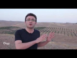 Xelkên Efrînê çanda cotkariya zeytûnan dibin Herêma Kurdistanê