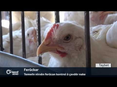 Li Rojavayê Kurdistanê Elikitrîkê ji welatiyan re bûye xewn