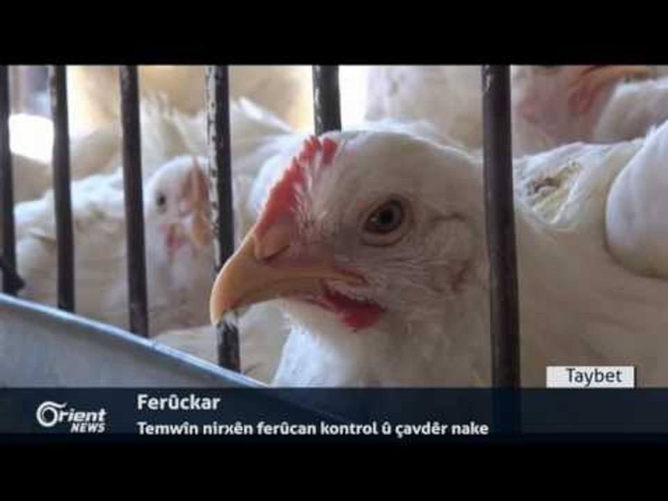 Li Rojavayê Kurdistanê Elikitrîkê ji welatiyan re bûye xewn