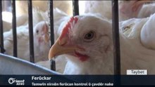 Li Rojavayê Kurdistanê Elikitrîkê ji welatiyan re bûye xewn
