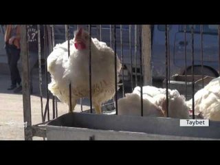 Li Rojava buhabêna nirxê ferûcan di heyva rojiyê de