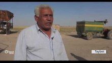 Li Amûdê firotina genim di destê R.Xweser û rêjîmê de ye
