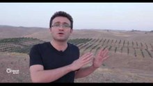 Xelkên Efrînê çanda cotkariya zeytûnan dibin Herêma Kurdistanê