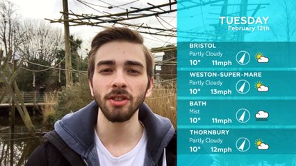 WEATHER: February 12th 2019